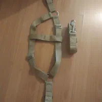 باکس بزرگ و غلاده|لوازم جانبی حیوانات|تهران, جنت‌آباد مرکزی|دیوار