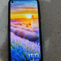 y7p