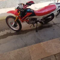 تریل جی وای