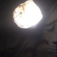 سنگ گوهر|جواهرات|مهاجران, |دیوار