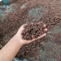 کشمش افتابی درجه یک ارگانیک و طبیعی