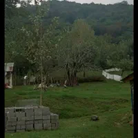 زمین مسکونی کوهپایه