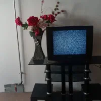 تلوزیون