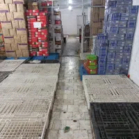سردخانه  روزانه کارتنی پالتی خیابان تختی مولوی|اجارهٔ مغازه و غرفه|تهران, خانی‌آباد|دیوار