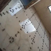 کاشی کاری وسنگ کاری و بازسازی.