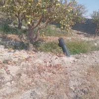 زمین-فروشی