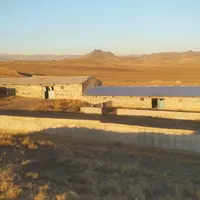 سرایدار دامداری