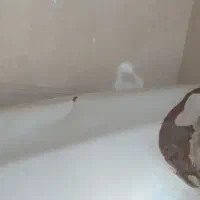 گلگیر پراید توافقی|قطعات یدکی و لوازم جانبی|رشت, جماران|دیوار