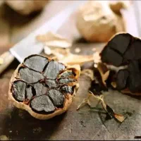 سیر سیاه