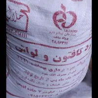 اردشرکتی