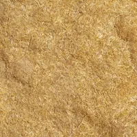 کاه گندم