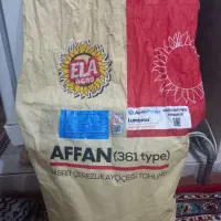 بذر آفتاب گردان