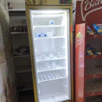 فریزر ایستاده تک درب 65 سانت