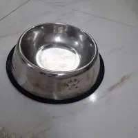 ظرف سگ