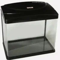 آکواریوم شرکتی