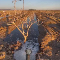 باغ پسته|فروش دفتر صنعتی، کشاورزی، تجاری|سبزوار, قصبه شرقی|دیوار