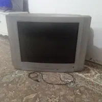تلویزیون