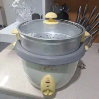 زودپز وپلوپز برقی چند کاره وغیره|اجاق گاز و لوازم برقی پخت‌وپز|مشهد, هنرور|دیوار