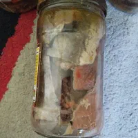 سور ماهی|خوردنی و آشامیدنی|بندر دیر, |دیوار