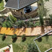 چوب و ترمود