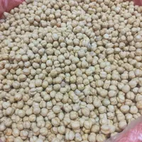 فروش عمده و جزئی نخودچی و سویا تازه|عمده‌فروشی|مشهد, کارمندان دوم|دیوار