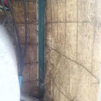 کولر مارک امین