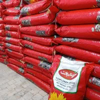 تامین کننده تخمه آفتابگردان خام 210 و 170 دون