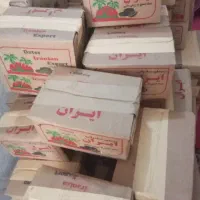 فروش خرما