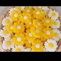 شمع|صنایع دستی و سایر لوازم تزئینی|مرودشت, ثبت احوال|دیوار