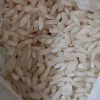 برنج قریبی گیلان|خوردنی و آشامیدنی|سنگر, |دیوار