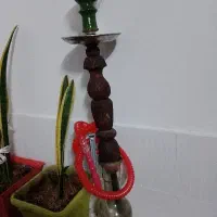 یک عدد قلیان طعم بیسکوییت شیرین و خوش طعم