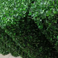 دیوارسبز . آکاردائونی .چمن مصنوعی . گرین وال|خدمات باغبانی و درختکاری|نجف‌آباد, گلدشت|دیوار