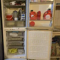 یخچال|یخچال و فریزر|باغستان, |دیوار