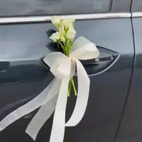 ژپون لباس عروس