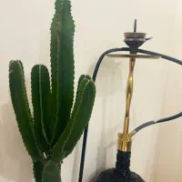 قلیان کرنو