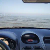 206تیپ 2فوق العاده عالی و سالم