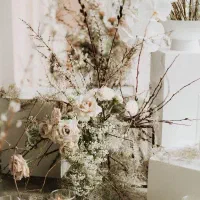 اتلیه عکاسی.عروس و داماد.فرمالیته باغ .محضر .سالن