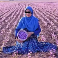 پذیرش شریک یا سرمایه گذار *  مشارکت در کشت