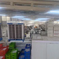 راننده نیسان یخچالدار پایه ۲