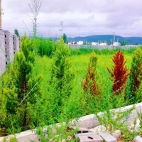 سبک زندگیتو ارتقا بده/مناسب سرمایه گذاری