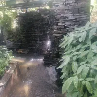 نیروی ساده رستوران