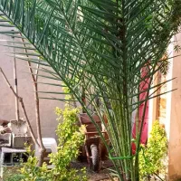 ویلایی-405متری-با-450متربنا-هجرت-ارشاد