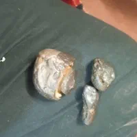 این چیه کی میدونه|کلکسیون اشیاء عتیقه|فولادشهر, A2|دیوار