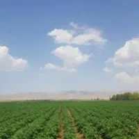 زمین کشاورزی