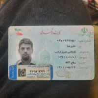مدارک علیرضاشجاعی پیداشد