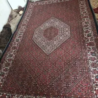 یک عدد فرش 2 در 3|فرش|ایجرود, |دیوار