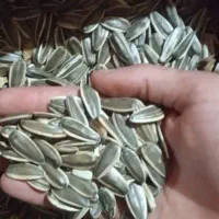 تخمه آفتابگردان 400s1|عمده‌فروشی|سراب, |دیوار