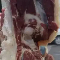 گوشت میش