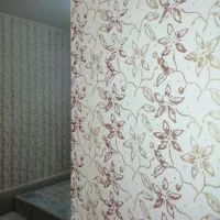 رنگ آمیزی ساختمان،نوسازی خانه های فرسوده،درب حیاط|خدمات پیشه و مهارت|کازرون, |دیوار