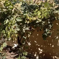 خونه-ویلایی-182-متری-در-کردان-کوهسار